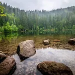De Rarounette Au Coeur Des Vosges Celles-sur-Plaine