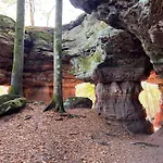 De Rarounette Au Coeur Des Vosges Celles-sur-Plaine