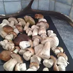 De Rarounette Au Coeur Des Vosges Holiday home