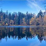 De Rarounette Au Coeur Des Vosges Celles-sur-Plaine