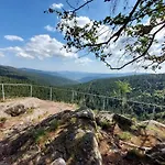 De Rarounette Au Coeur Des Vosges