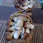 Holiday home De Rarounette Au Coeur Des Vosges Celles-sur-Plaine