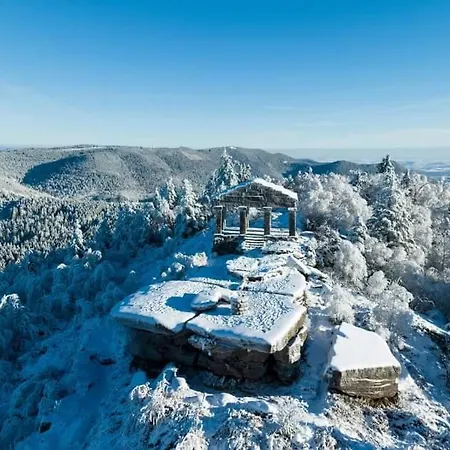 De Rarounette Au Coeur Des Vosges Feriehus *