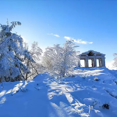 De Rarounette Au Coeur Des Vosges Dom wakacyjny