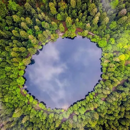 بيت للعطل De Rarounette Au Coeur Des Vosges *
