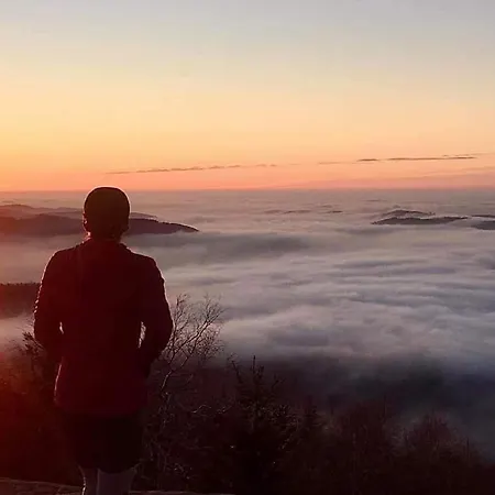 De Rarounette Au Coeur Des Vosges Σπίτι διακοπών *
