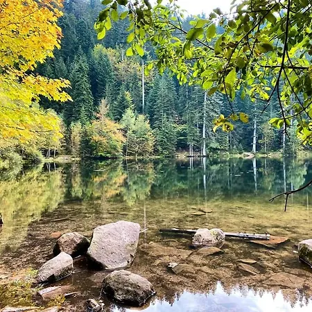 Hébergement de vacances De Rarounette Au Coeur Des Vosges *