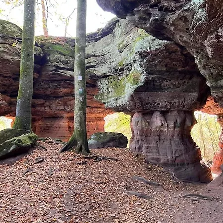 De Rarounette Au Coeur Des Vosges Celles-sur-Plaine