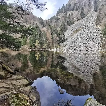 Hébergement de vacances De Rarounette Au Coeur Des Vosges *