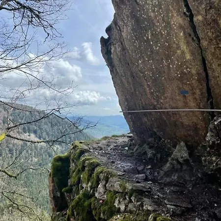 De Rarounette Au Coeur Des Vosges *