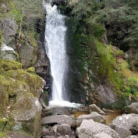 Hébergement de vacances De Rarounette Au Coeur Des Vosges