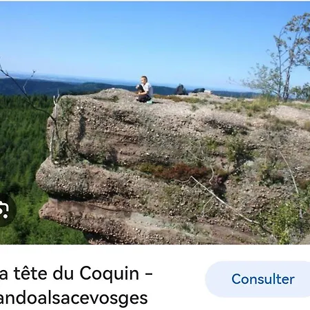 De Rarounette Au Coeur Des Vosges Feriehus Celles-sur-Plaine
