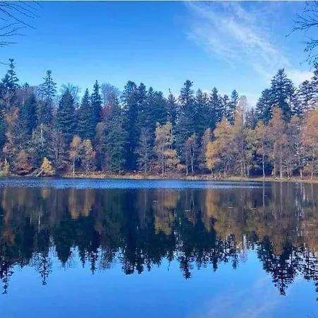 De Rarounette Au Coeur Des Vosges Celles-sur-Plaine