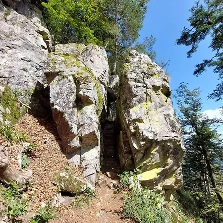 Hébergement de vacances De Rarounette Au Coeur Des Vosges