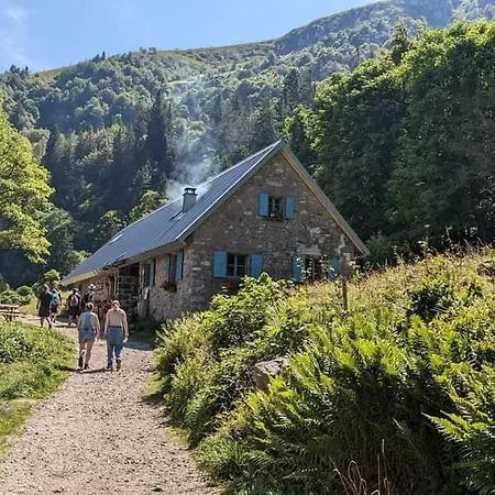 Hébergement de vacances De Rarounette Au Coeur Des Vosges Celles-sur-Plaine