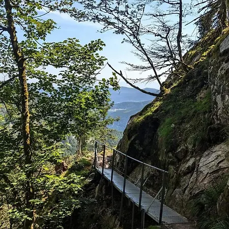 De Rarounette Au Coeur Des Vosges Σπίτι διακοπών