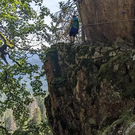 Hébergement de vacances De Rarounette Au Coeur Des Vosges