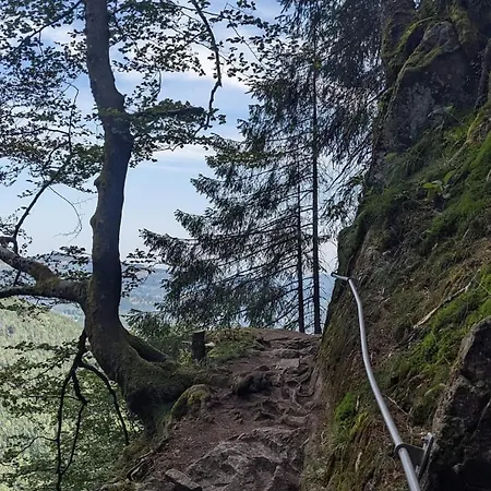 Hébergement de vacances De Rarounette Au Coeur Des Vosges *