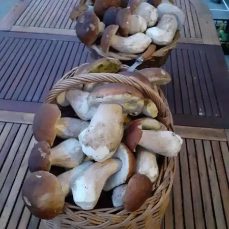 Σπίτι διακοπών De Rarounette Au Coeur Des Vosges Celles-sur-Plaine