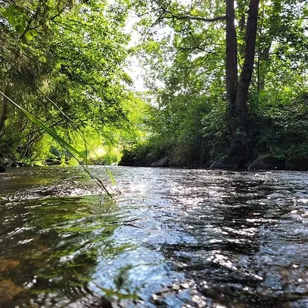 Hébergement de vacances De Rarounette Au Coeur Des Vosges