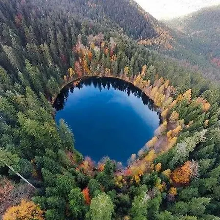 De Rarounette Au Coeur Des Vosges Hébergement de vacances Celles-sur-Plaine