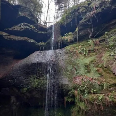 Feriehus De Rarounette Au Coeur Des Vosges Celles-sur-Plaine