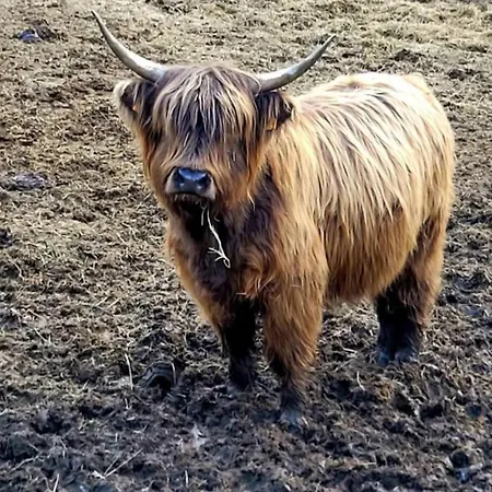 De Rarounette Au Coeur Des Vosges *