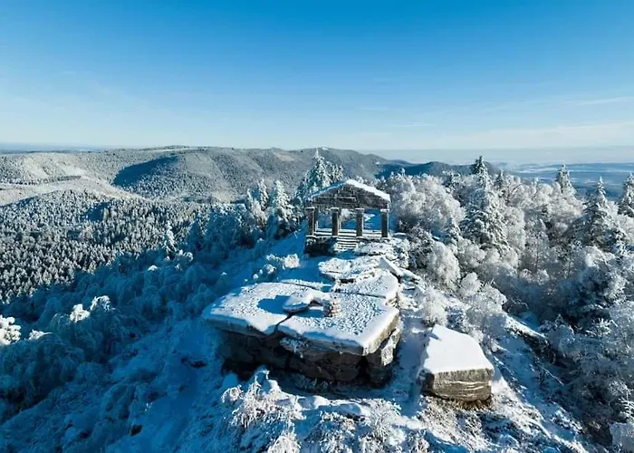 De Rarounette Au Coeur Des Vosges 펜션 *