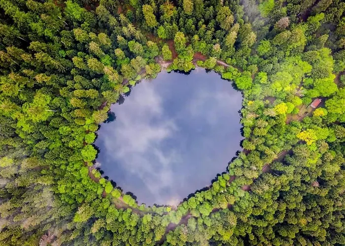 度假居 De Rarounette Au Coeur Des Vosges *