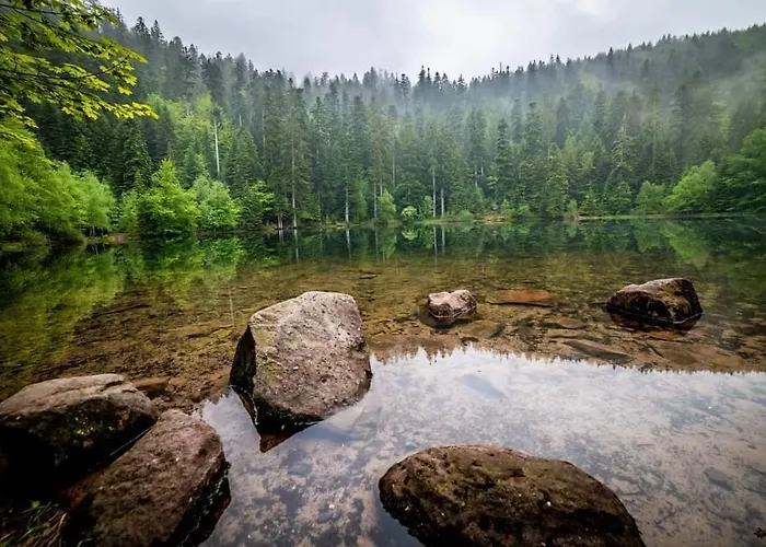 De Rarounette Au Coeur Des Vosges Celles-sur-Plaine