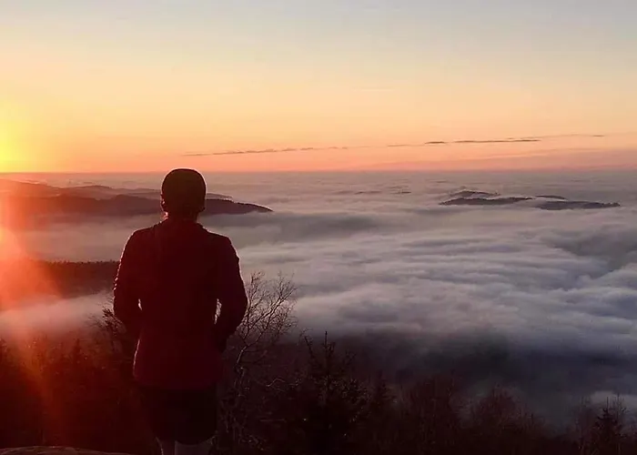 De Rarounette Au Coeur Des Vosges 度假居 *