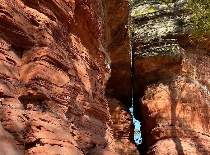 De Rarounette Au Coeur Des Vosges 度假居 *