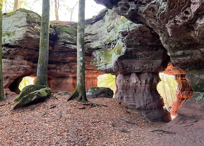 De Rarounette Au Coeur Des Vosges Celles-sur-Plaine