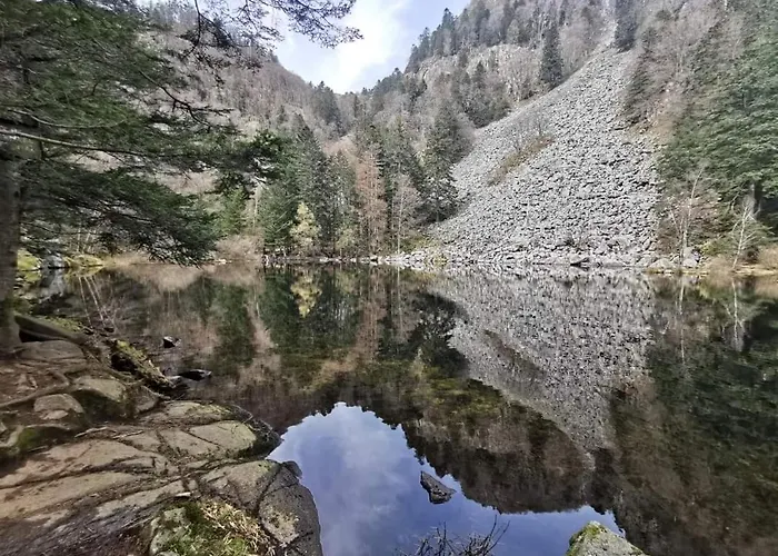 度假居 De Rarounette Au Coeur Des Vosges *