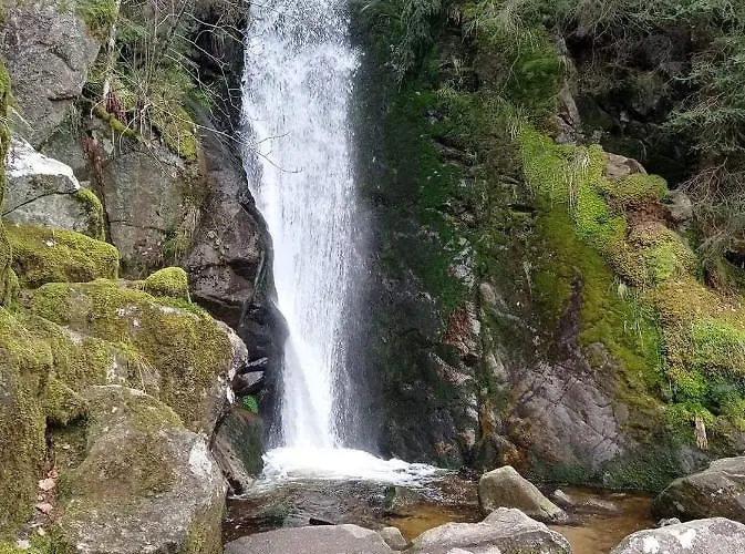 度假居 De Rarounette Au Coeur Des Vosges
