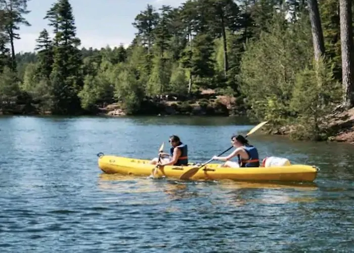 De Rarounette Au Coeur Des Vosges