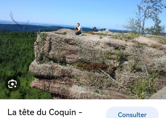 De Rarounette Au Coeur Des Vosges 度假居 Celles-sur-Plaine