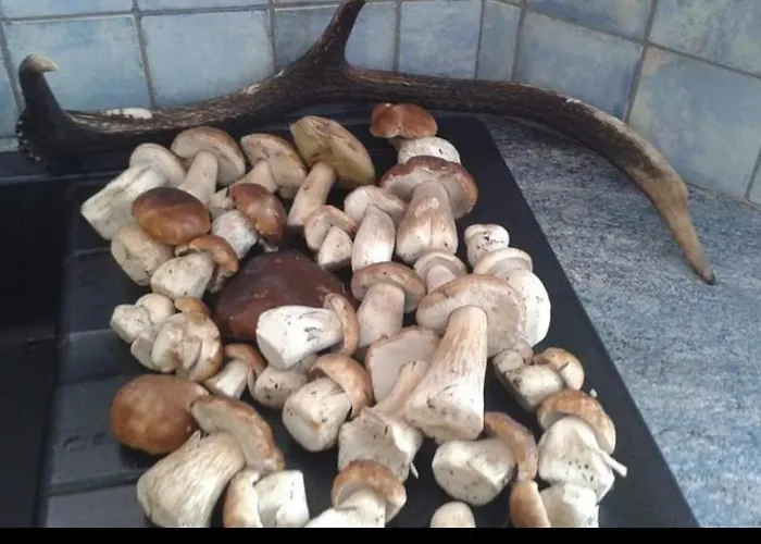 De Rarounette Au Coeur Des Vosges 度假居