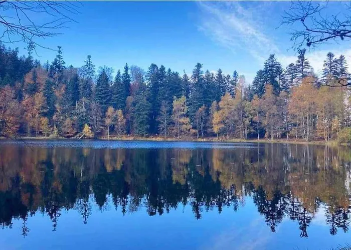 De Rarounette Au Coeur Des Vosges Celles-sur-Plaine