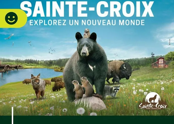 De Rarounette Au Coeur Des Vosges 度假居 *