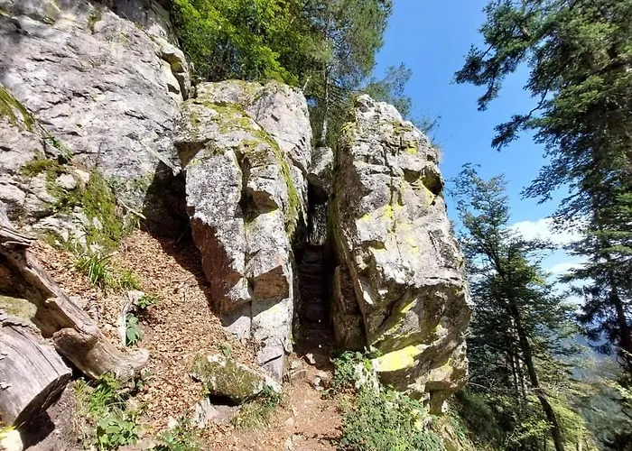 펜션 De Rarounette Au Coeur Des Vosges