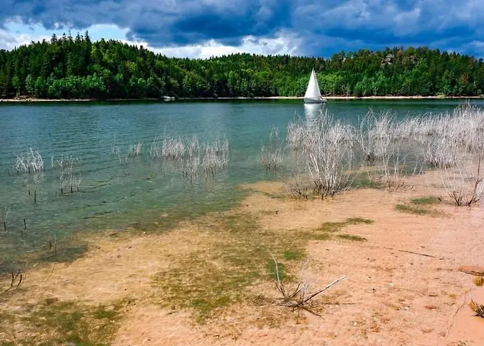 De Rarounette Au Coeur Des Vosges *