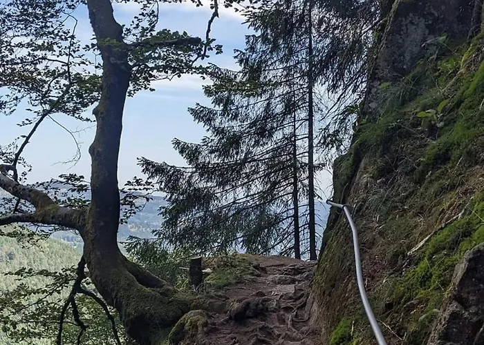 펜션 De Rarounette Au Coeur Des Vosges *