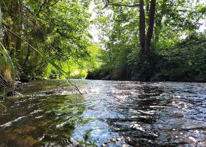 펜션 De Rarounette Au Coeur Des Vosges