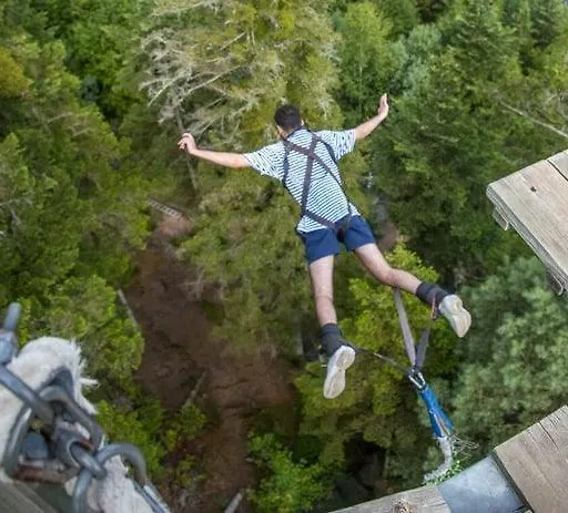 De Rarounette Au Coeur Des Vosges * Celles-sur-Plaine