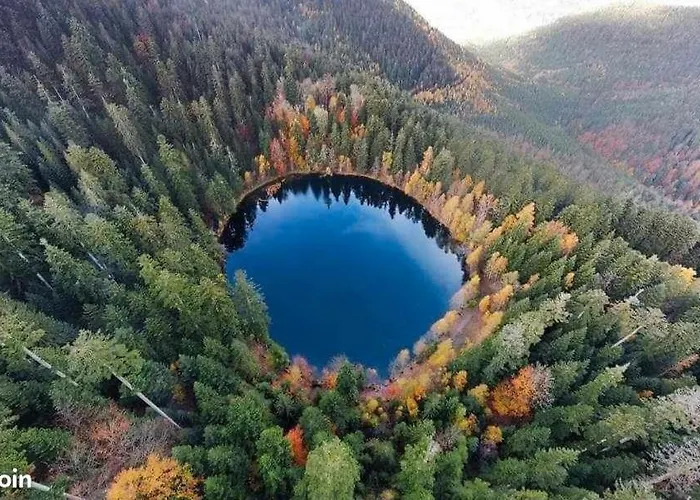 De Rarounette Au Coeur Des Vosges 펜션 Celles-sur-Plaine