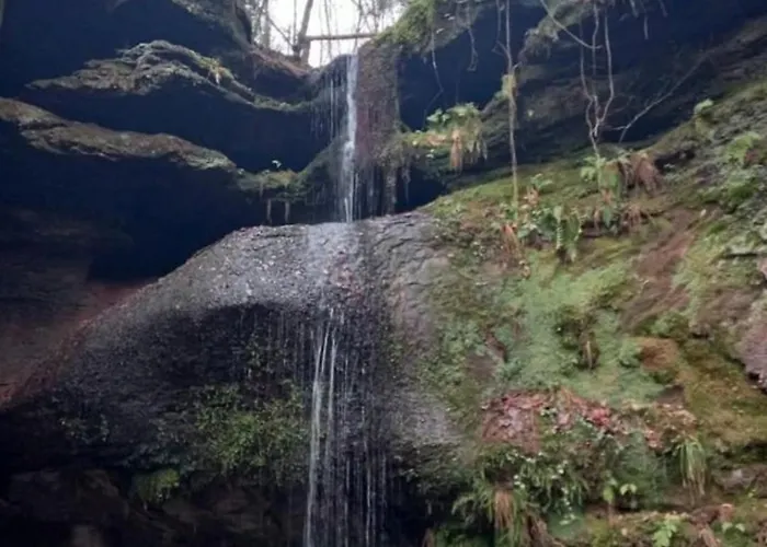 펜션 De Rarounette Au Coeur Des Vosges Celles-sur-Plaine